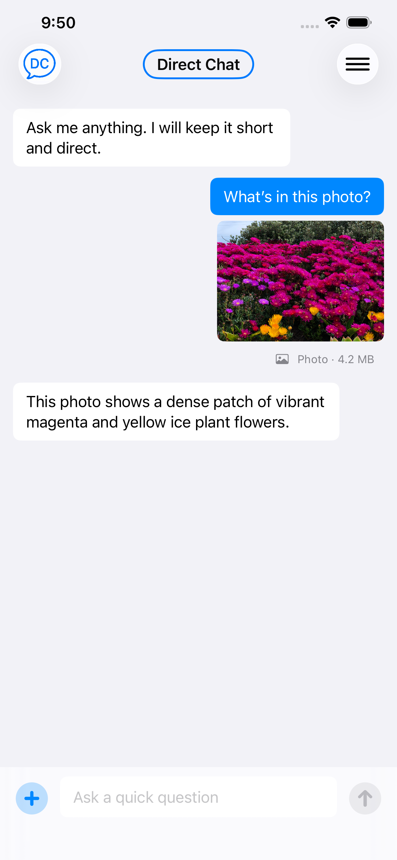 Direct Chat answering a question about an attached image